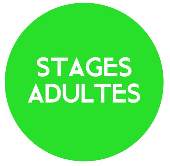 1. STAGES ADULTES