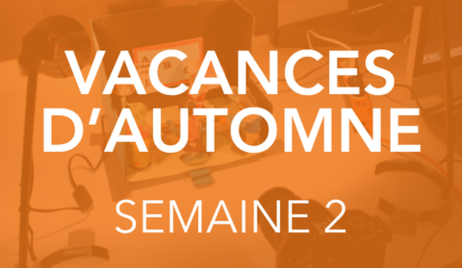AUTOMNE S2 : STAGES STOP MOTION 